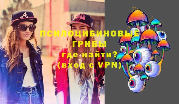 кокс Алексин