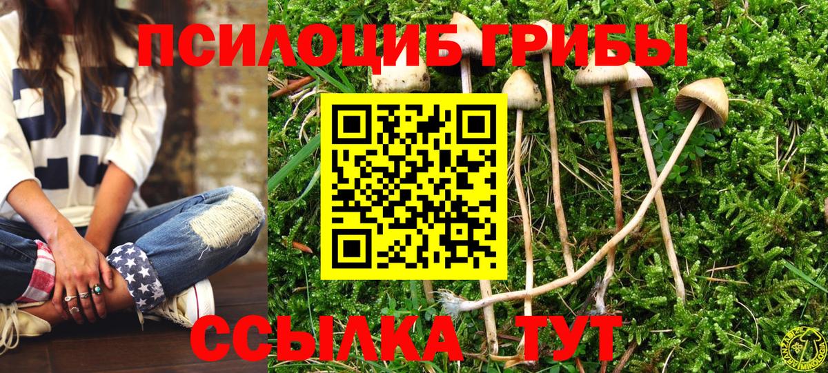 Галлюциногенные грибы Psilocybine cubensis Белореченск