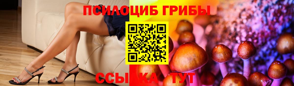 Псилоцибиновые грибы MAGIC MUSHROOMS  Вход с VPN  Псилоцибиновые грибы Psilocybine cubensis  цена   Белореченск 